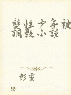 双性少年被主人调教小说封面