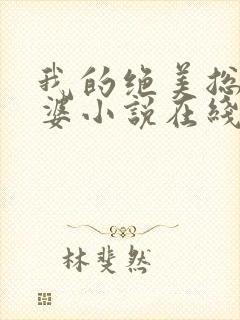 我的绝美总裁老婆小说在线阅读