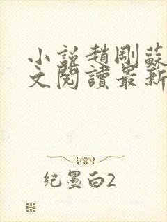 小说赵刚苏柔全文阅读最新章节