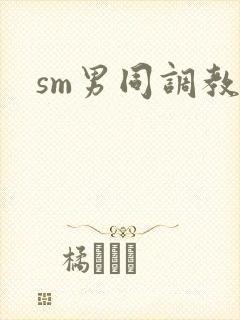 sm男同调教文