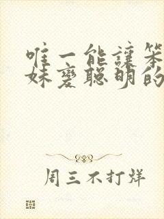 唯一能让笨蛋妹妹变聪明的方法只有我的封面