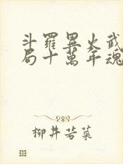 斗罗异火武魂开局十万年魂环笔趣阁