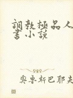 调教极品人妻秘书小说封面