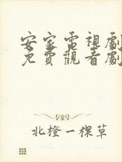 安家电视剧全集免费观看剧情