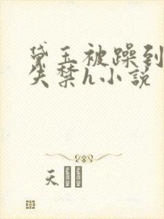 黛玉被躁到高潮失禁h小说