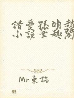 错爱孙明赵红梅小说笔趣阁