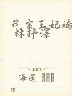 我家王妃娇又飒 林抒泽封面