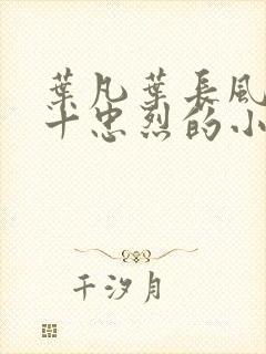 叶凡叶长风一门十忠烈的小说名封面