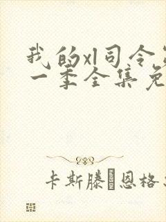 我的xl司令第一季全集免费播放动漫