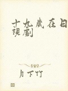 十九岁在日本电视剧