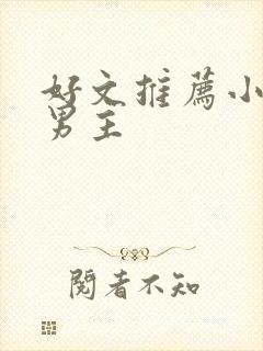 好文推荐小说双男主