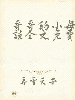 哥哥的小母狗小说全文免费阅读笔趣阁