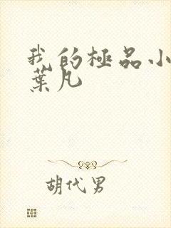 我的极品小姨 叶凡