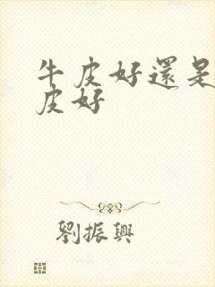 牛皮好还是植鞣皮好封面