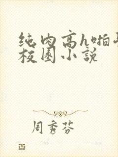 纯肉高h啪学生校园小说封面