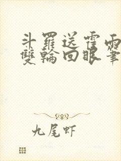 斗罗送霍雨浩一双轮回眼笔趣阁