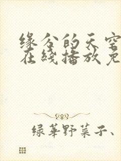 缘分的天空动漫在线播放免费