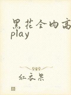 黑花全肉高h湿play