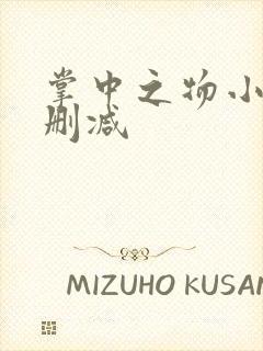 掌中之物小说未删减