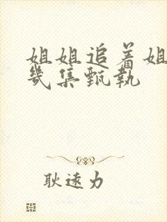 姐姐追着姐姐第几集甄执