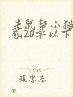 老鼠帮小猫读后感20字以下