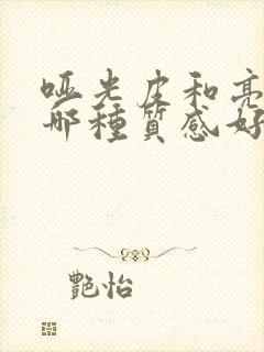 哑光皮和亮光皮哪种质感好些