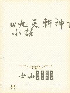 w九天斩神诀》小说