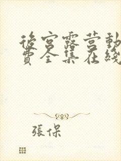 后宫露营动漫免费全集在线观看封面