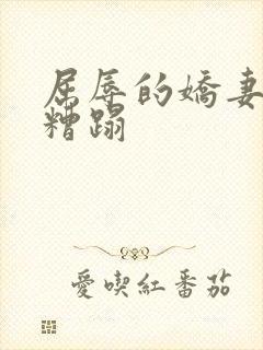 屈辱的娇妻任人糟蹋封面