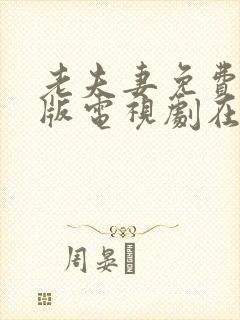 老夫妻免费完整版电视剧在线观看中