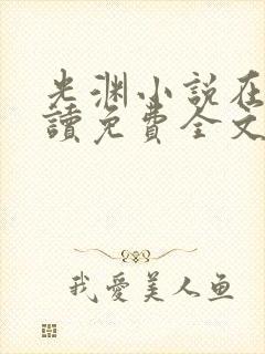 光渊小说在线阅读免费全文