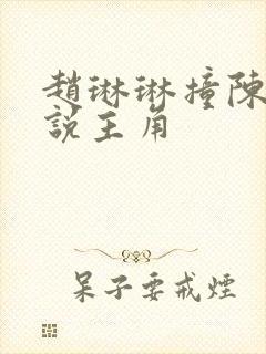 赵琳琳撞陈凡小说主角