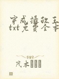 穿成摄政王逃妻txt免费全本阅读