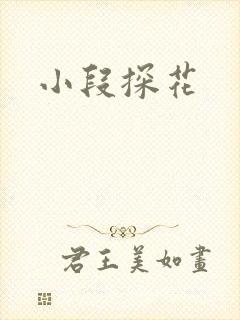 小段探花封面