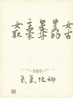 女主是农女被强取豪夺的古言