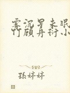 雾沉星未眠沈清竹顾舟衍小说