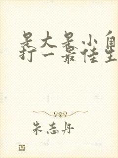 是大是小自己猜打一最佳生肖