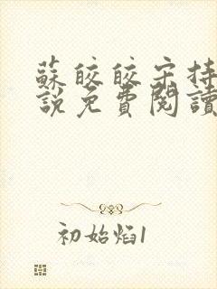 苏皎皎宋持的小说免费阅读封面