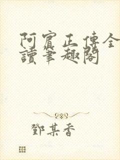 阿宾正传全文阅读笔趣阁