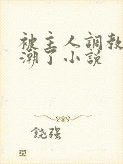 被主人调教到高潮了小说封面