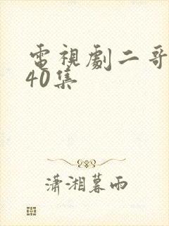 电视剧二哥二嫂40集