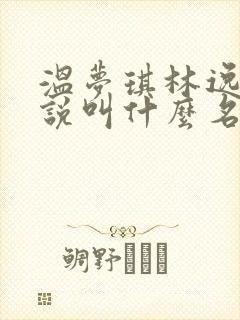 温梦琪林逸飞小说叫什么名字