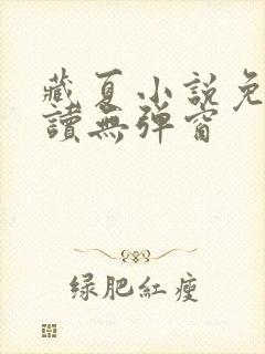 藏夏小说免费阅读无弹窗