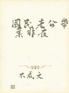 国民老公带回家 叶非夜封面