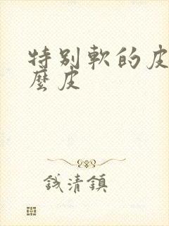 特别软的皮是什么皮封面