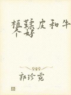 植鞣皮和牛皮哪个好