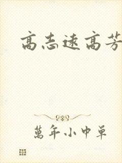 高志远高芳封面