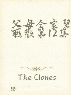 父母全家儿女大联欢第12集封面