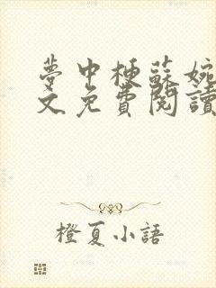 梦中梗苏婉荌全文免费阅读笔趣阁