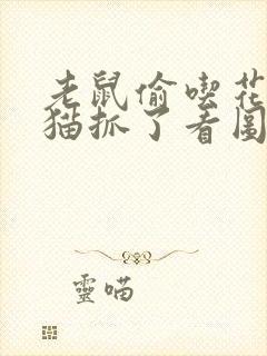 老鼠偷吃花生被猫抓了看图写话